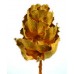 HAKEA VICTORIA SMALL 4" HEAD Gold